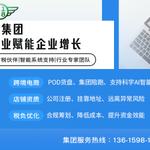 博睿商业集团有限公司：电商浪潮中的摆渡人与筑路者